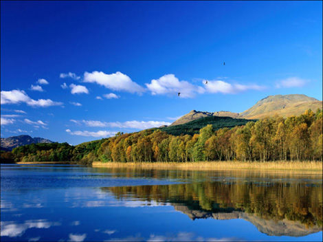 Eagle River - Animated Desktop Wallpaper