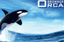 Orca Browser