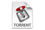 TorrentFetcher