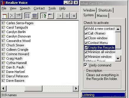 Realize Voice
