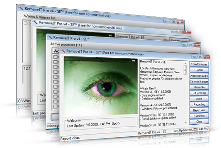 RemoveIT Pro 4 SE