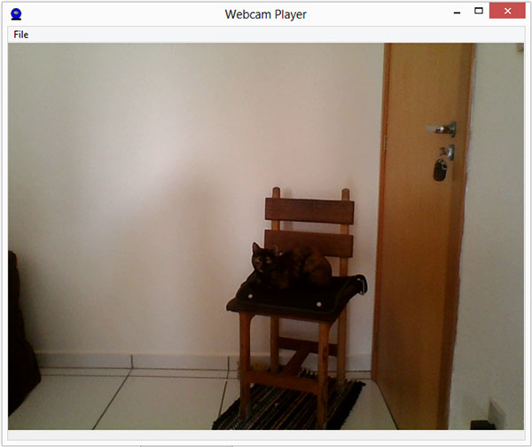 Webcam Player