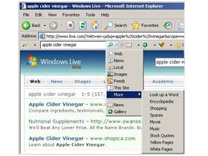 Windows Live Toolbar